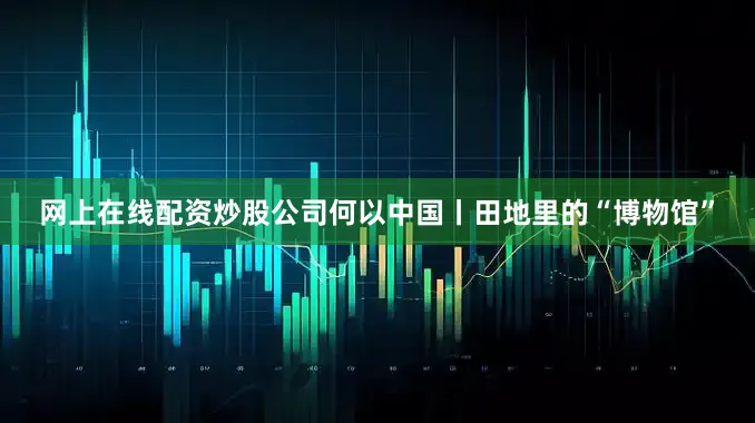 网上在线配资炒股公司何以中国丨田地里的“博物馆”