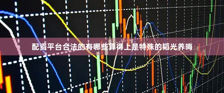 配资平台合法的有哪些算得上是特殊的韬光养晦
